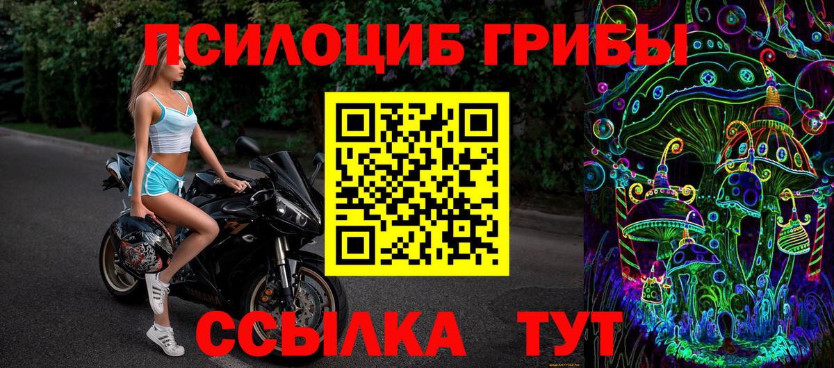 купить наркотик  Псилоцибиновые грибы MAGIC MUSHROOMS  Вход с VPN  Волжск 